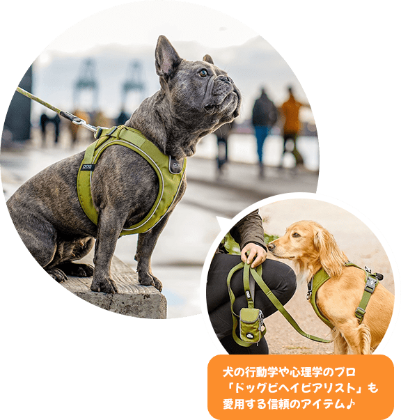 犬用ハーネス「コンフォートウォーク」