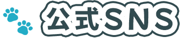 公式SNS