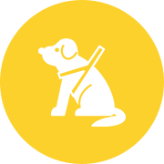 愛犬には良いものを使いたい