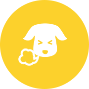 引っ張って愛犬が息苦しそう