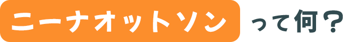 ニーナオットソンって何？